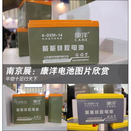 儲能電池 電動助力車蓄電池的市場分析與應(yīng)用前景